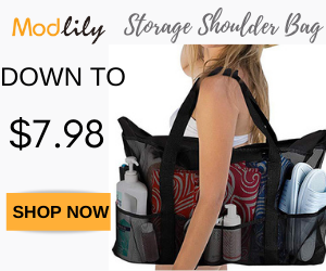 Women's Shoulder Bags: Down to $7.98!